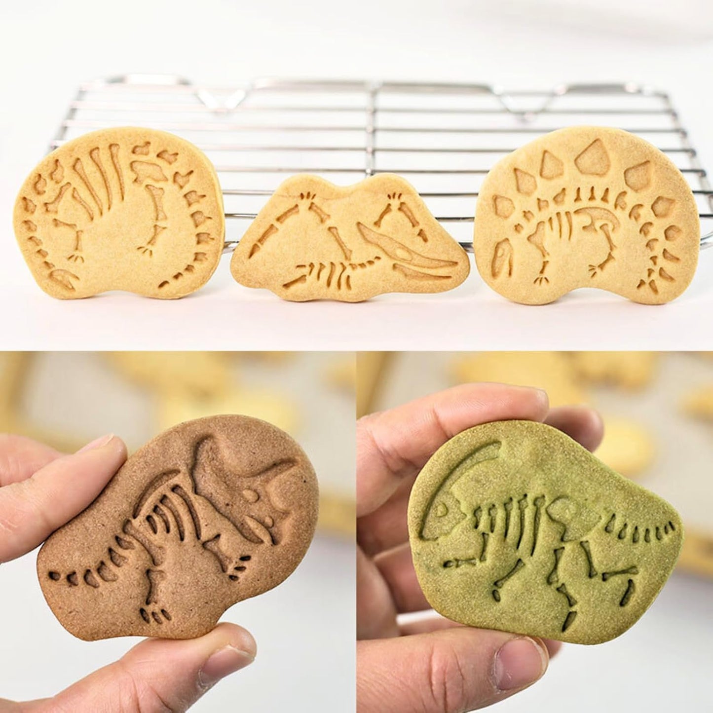 Dinosaur Fossil Cookie Cutter Set – 8pcs 3D Plastic Cookie Stamps – Fun Dino Skeleton Cookie Molds – Food Grade Kids Baking Set for Dinosaur-Themed Cookies, Cakes & Treats