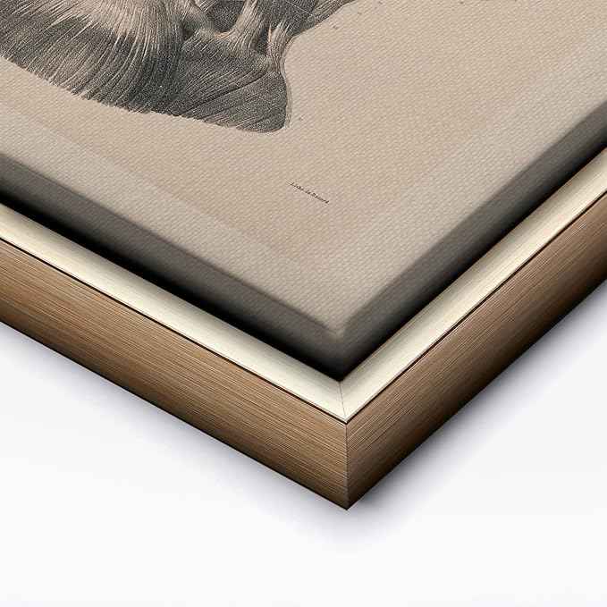 Poster Master Vintage Science Canvas - Retro Muscles of Head And Neck Print - Anatomy Art - Gift for Nurse & Doctor - Wall Decor for Office, Clinic or Hospital - 8x10 Silver Framed Canvas