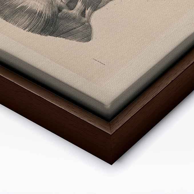 Poster Master Vintage Science Canvas - Retro Muscles of Head And Neck Print - Anatomy Art - Gift for Nurse & Doctor - Wall Decor for Office, Clinic or Hospital - 8x10 Brown Framed Canvas