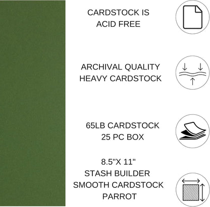 PA Paper Accents Stash Builder Cardstock 8.5" x 11" BParrot, 65lb colored cardstock paper for card making, scrapbooking, printing, quilling and crafts, 25 piece pack