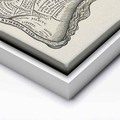 Poster Master A Symbolic Head Phrenology Print 1899 - Phrenology Canvas, Fine Art Print of a Scientific or Pseudoscience Academia Medical Illustration - 18x24 White Framed Canvas