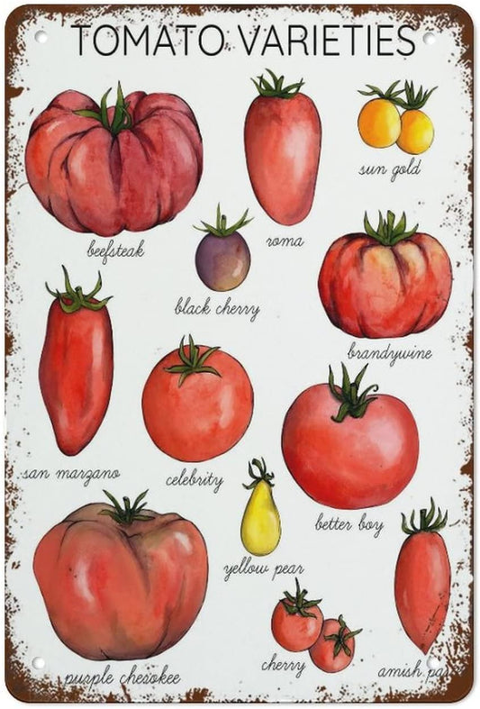 Funny Tin Sign Tomato Varieties Poste Metal Poster Plaques for Home Living Room Kitchen Cafe Bar Vintage Wall Decor Metal Sign 12 x 8 IN