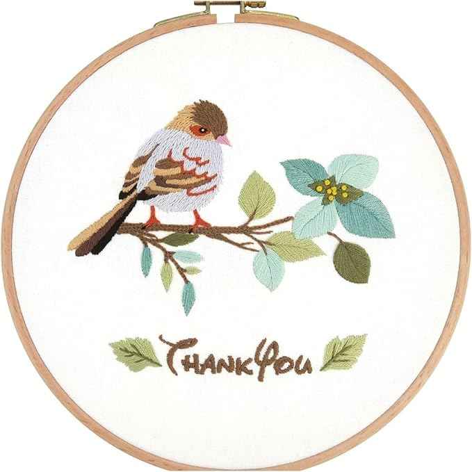 Act Iron Embroidery Starter Kit Stamped with Pattern Feather Dream with Base and Hoops Cloth Color Threads DIY Cross Stitch Needlework Home Decor Crafts for Adults