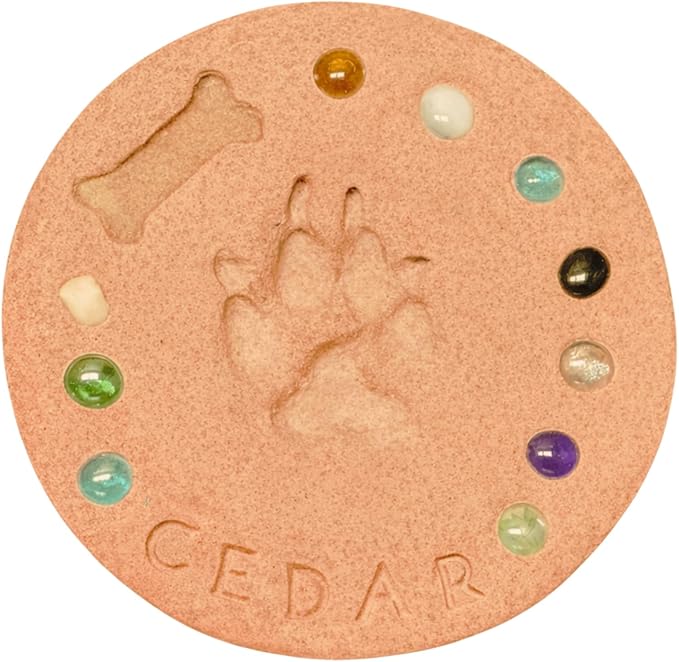 DIY Paw Print Kit for Pets, Personalized Memorial Stepping Stones for Gifts and Pets, Pet Garden Stone (10 Inch + Stamp Set, Orange)