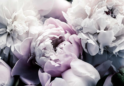 Floral Wallpaper Mural Large Rose Flowers Mural for Bedroom Living Room Wall (not self-Adhesive)