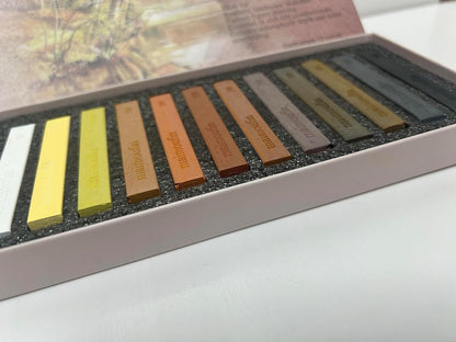 12-Pack Earth Tone Square Soft Pastels Water-Soluble Blendable Artist Drawing Pastels Set for Artists & Hobbyists Drawing, Painting & Sketching (Brown)