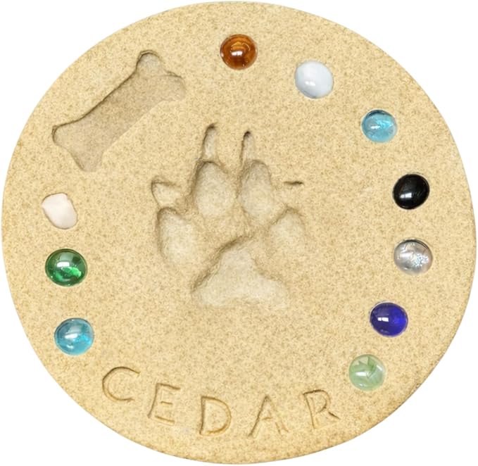 DIY Paw Print Kit for Pets, Personalized Memorial Stepping Stones for Gifts and Pets, Pet Garden Stone (10 Inch + Stamp Set, Yellow)