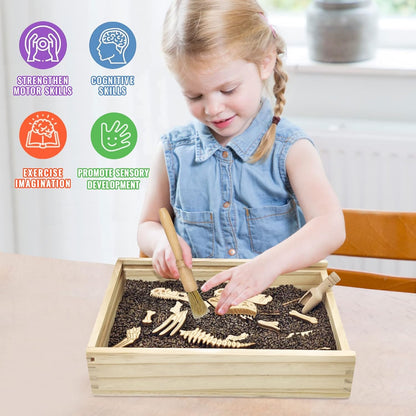 Xylolin Dinosaur Excavation Archaeology Dig Kit for Kids, Fossil Explore Sensory Bin Toys, Dino Skeletons Bones Puzzle Game, Archaeology Science STEM Toys for Boys and Girls (Tyrannosaurus)