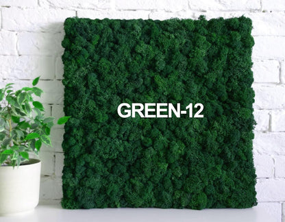 Preserved Reindeer Moss Natural Green DIY Kit Gardenning Art Wall Decor Florist Decor Easter Table Decor Wedding