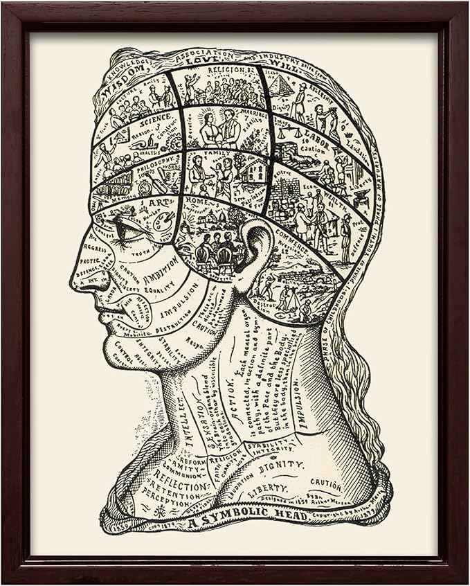 Poster Master A Symbolic Head Phrenology Print 1899 - Phrenology Canvas, Fine Art Print of a Scientific or Pseudoscience Academia Medical Illustration - 12x16 Brown Framed Canvas