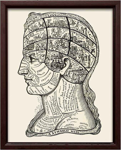 Poster Master A Symbolic Head Phrenology Print 1899 - Phrenology Canvas, Fine Art Print of a Scientific or Pseudoscience Academia Medical Illustration - 12x16 Brown Framed Canvas