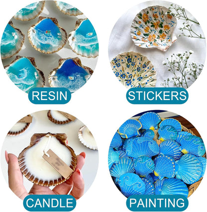 20PCS Natural Scallop Shells for Crafts & Baking - 6 Large (4-5in) & 14 Medium (2-3in) Seashells - DIY Painting, Beach Wedding Decor, Resin Art, Coastal Home Decoration, Party Centerpieces