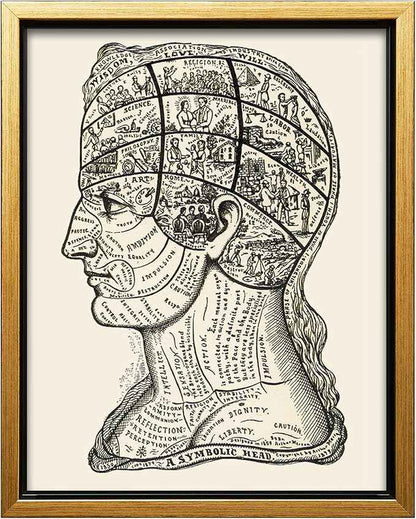 Poster Master A Symbolic Head Phrenology Print 1899 - Phrenology Canvas, Fine Art Print of a Scientific or Pseudoscience Academia Medical Illustration - 24x32 Gold Framed Canvas