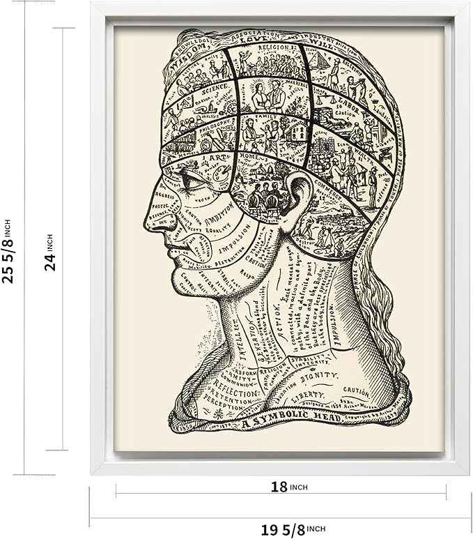 Poster Master A Symbolic Head Phrenology Print 1899 - Phrenology Canvas, Fine Art Print of a Scientific or Pseudoscience Academia Medical Illustration - 18x24 White Framed Canvas