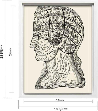 Poster Master A Symbolic Head Phrenology Print 1899 - Phrenology Canvas, Fine Art Print of a Scientific or Pseudoscience Academia Medical Illustration - 18x24 White Framed Canvas