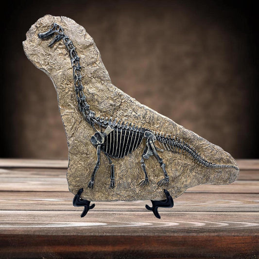 XINDAM Resin Brachiosaurus Dinosaur Fossil Statue Model Simulated Skeleton Home Office Display Decorative Craft Box Decoration (Style 7)