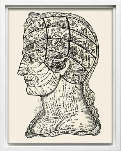 Poster Master A Symbolic Head Phrenology Print 1899 - Phrenology Canvas, Fine Art Print of a Scientific or Pseudoscience Academia Medical Illustration - 18x24 White Framed Canvas