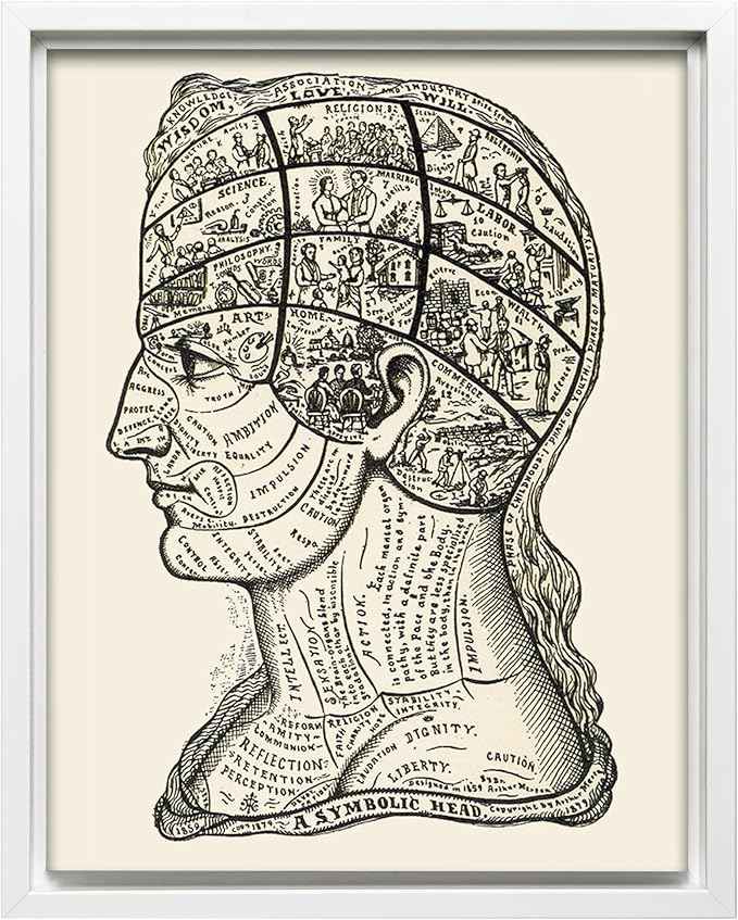 Poster Master A Symbolic Head Phrenology Print 1899 - Phrenology Canvas, Fine Art Print of a Scientific or Pseudoscience Academia Medical Illustration - 24x32 White Framed Canvas