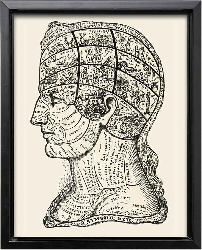 Poster Master A Symbolic Head Phrenology Print 1899 - Phrenology Canvas, Fine Art Print of a Scientific or Pseudoscience Academia Medical Illustration - 24x32 Black Framed Canvas