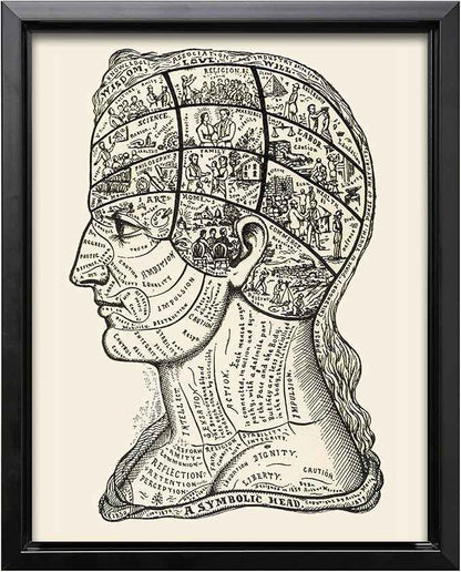 Poster Master A Symbolic Head Phrenology Print 1899 - Phrenology Canvas, Fine Art Print of a Scientific or Pseudoscience Academia Medical Illustration - 24x32 Black Framed Canvas