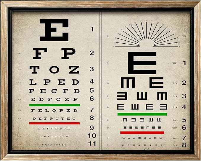 Poster Master Vintage Eye Chart Canvas - Retro Vision Test Print - Medical Art - Gift for Men, Women & Doctor - Optical Wall Decor for Office, Hospital or Clinic - 16x20 Silver Framed Canvas