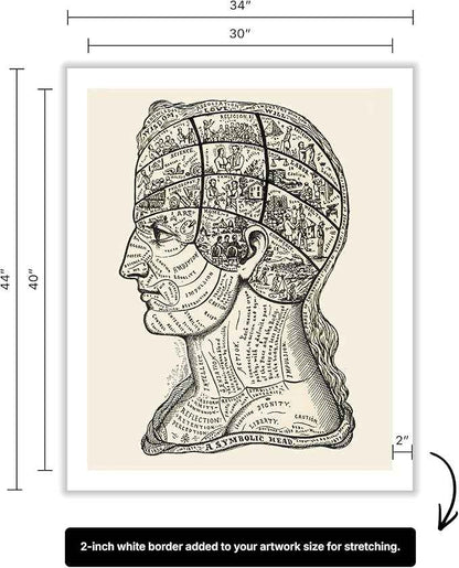 Poster Master A Symbolic Head Phrenology Print 1899 - Phrenology Canvas, Fine Art Print of a Scientific or Pseudoscience Academia Medical Illustration - 30x40 ROLLED Canvas