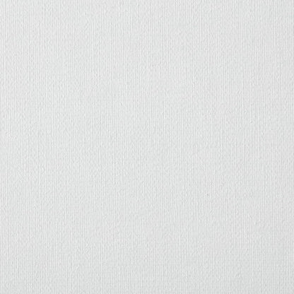 Centurion Deluxe Professional Oil Primed Linen Stretched Canvas, 11oz Linen, 5x7 - Box of 6, 0.67" Deep Canvases, Kiln-Dried Stretchers, Back Stapled, Premium Medium Weight Canvas for Oil Paintings