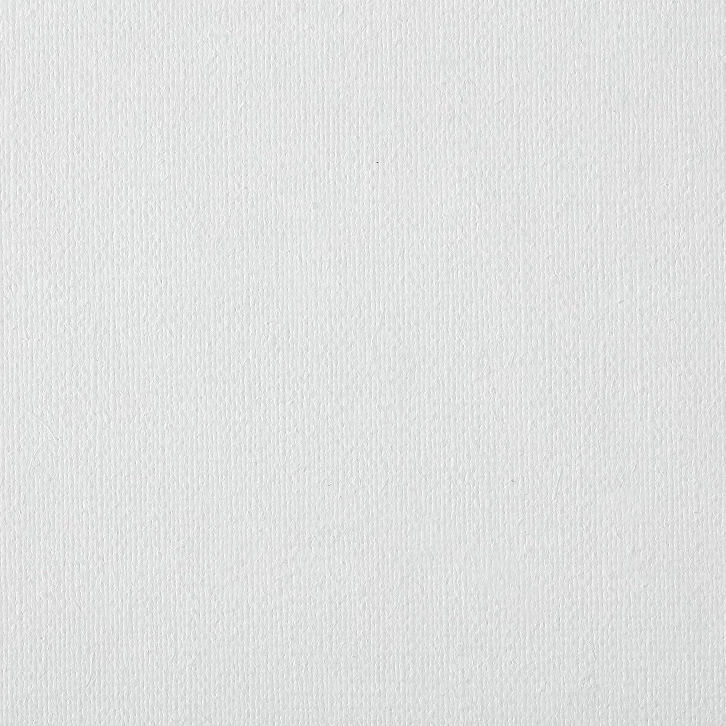 Centurion Deluxe Professional Oil Primed Linen Stretched Canvas, 11oz Linen, 10x10 - Box of 6, 0.67" Deep Canvases, Kiln-Dried Stretchers, Back Stapled, Premium Medium Weight Canvas for Oil Paintings