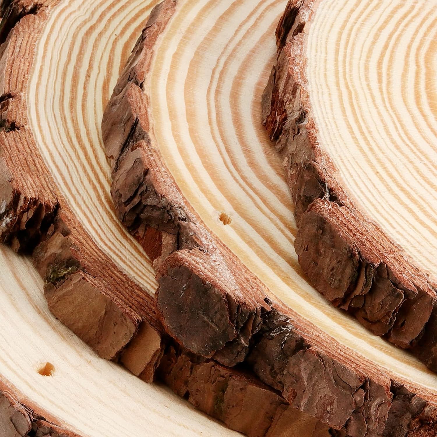 JEUIHAU 12 PCS 5.5-5.9 Inches Natural Wood Slices with Holes, Unfinished Predrilled Wooden Circles Tree Bark Slice, Blank Wooden Log Circles for DIY Crafts, Arts Wood Slices, Christmas Ornaments - Crafty Corner