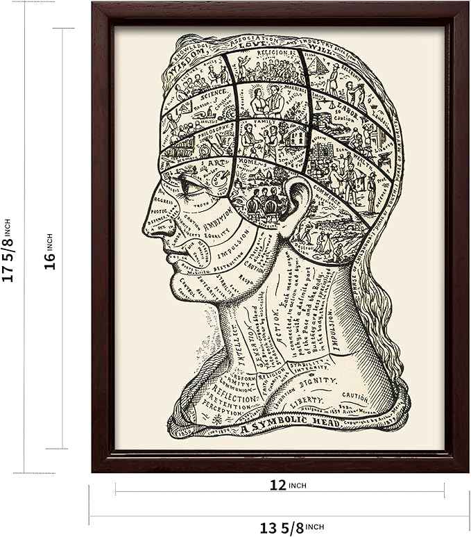 Poster Master A Symbolic Head Phrenology Print 1899 - Phrenology Canvas, Fine Art Print of a Scientific or Pseudoscience Academia Medical Illustration - 12x16 Brown Framed Canvas