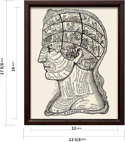 Poster Master A Symbolic Head Phrenology Print 1899 - Phrenology Canvas, Fine Art Print of a Scientific or Pseudoscience Academia Medical Illustration - 12x16 Brown Framed Canvas