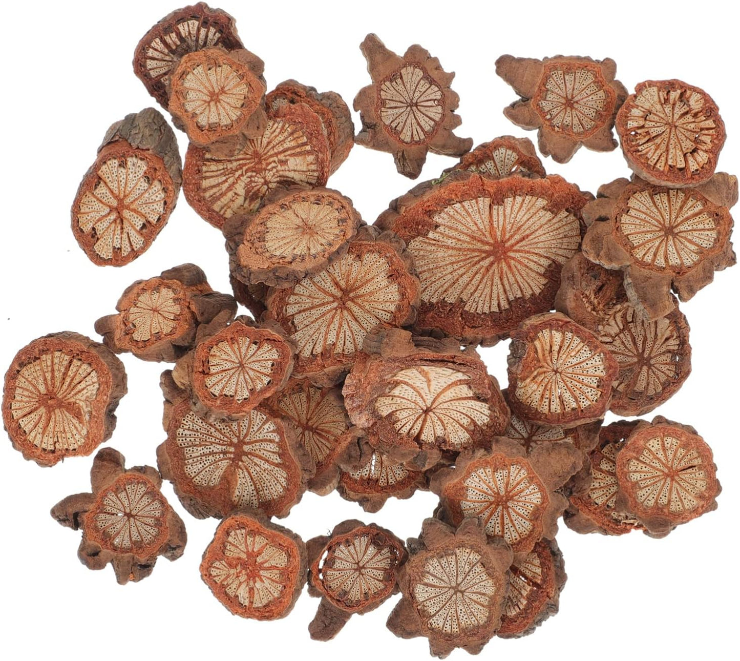 GALPADA Christmas Tree Bark Wood Slices Xmas Ornaments Mini Natural Vintage Round Log Discs for Arts & Crafts Home DIY Table Decoration - Crafty Corner