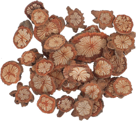 GALPADA Christmas Tree Bark Wood Slices Xmas Ornaments Mini Natural Vintage Round Log Discs for Arts & Crafts Home DIY Table Decoration - Crafty Corner