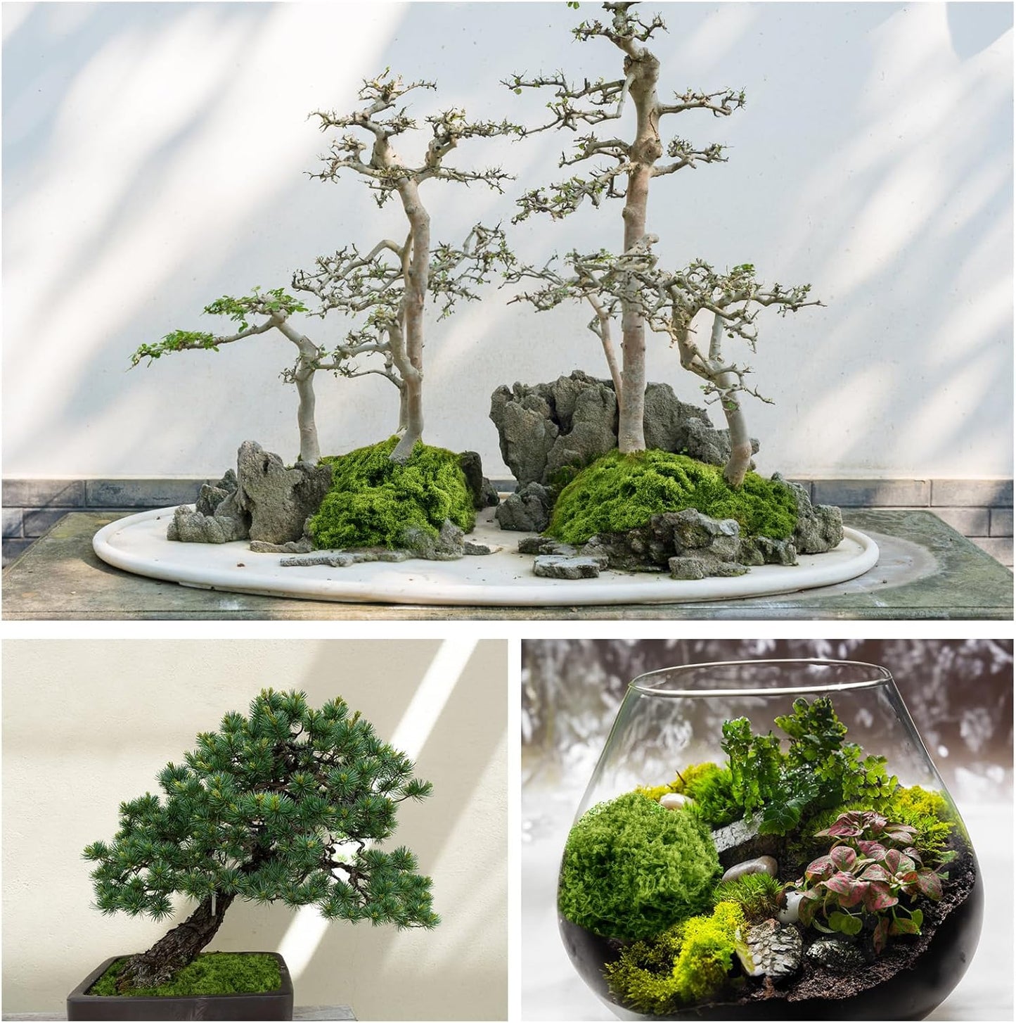 Fake Green Moss for Potted Plants, 10.6OZ Moss Decor Artificial Faux Moss for Crafts Preserved Moss for DIY Decorative Moss Table Centerpieces Decor Fairy Garden Floral Wedding (300g) (Dark Green) - Crafty Corner