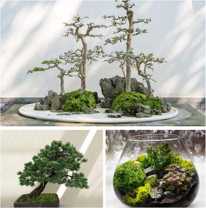 Fake Green Moss for Potted Plants, 10.6OZ Moss Decor Artificial Faux Moss for Crafts Preserved Moss for DIY Decorative Moss Table Centerpieces Decor Fairy Garden Floral Wedding (300g) (Dark Green) - Crafty Corner