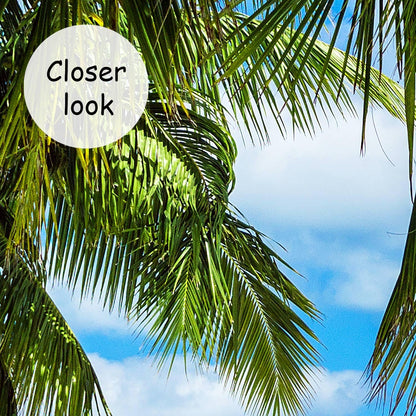 AFZEVEB-Beach Wall Mural Tropical Palm Tree Landscape Wallpaper for Bedroom 114"x74"(Not Peel and Stick)