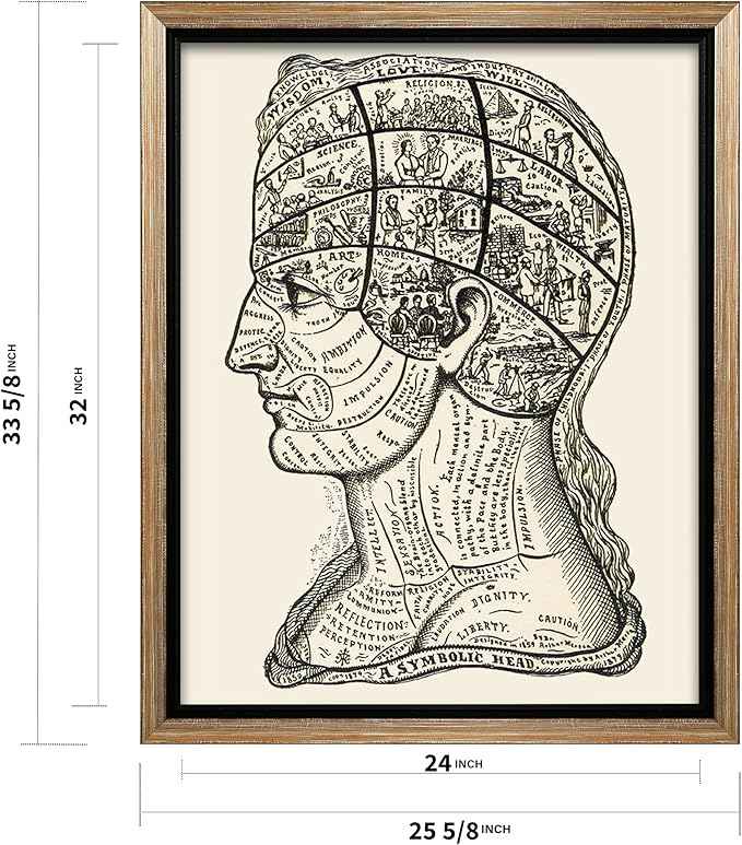 Poster Master A Symbolic Head Phrenology Print 1899 - Phrenology Canvas, Fine Art Print of a Scientific or Pseudoscience Academia Medical Illustration - 24x32 Silver Framed Canvas