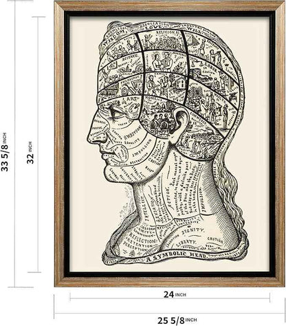Poster Master A Symbolic Head Phrenology Print 1899 - Phrenology Canvas, Fine Art Print of a Scientific or Pseudoscience Academia Medical Illustration - 24x32 Silver Framed Canvas