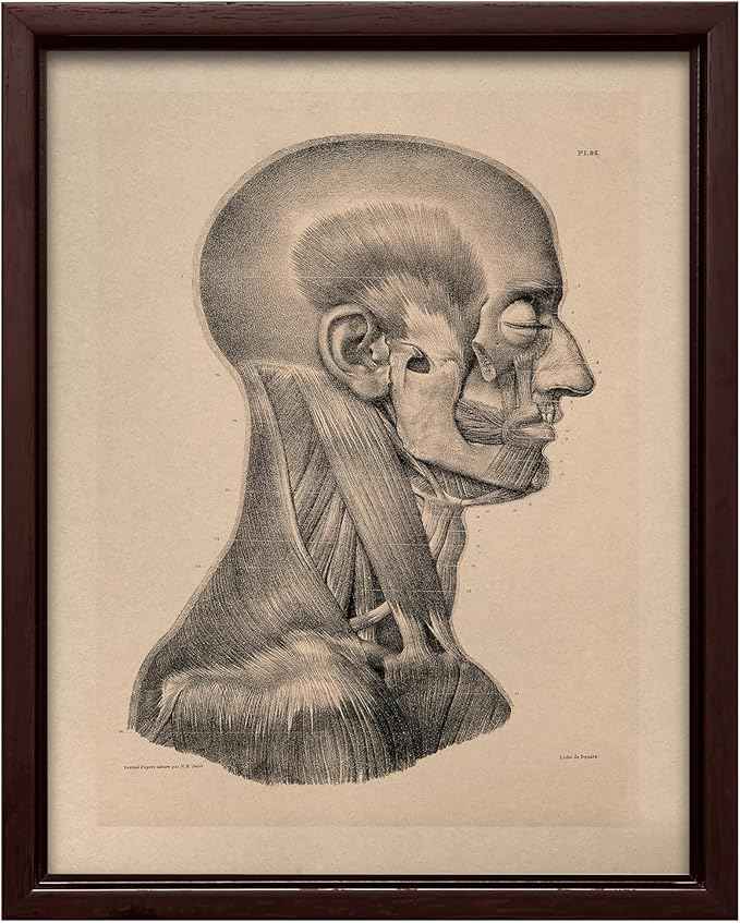 Poster Master Vintage Science Canvas - Retro Muscles of Head And Neck Print - Anatomy Art - Gift for Nurse & Doctor - Wall Decor for Office, Clinic or Hospital - 8x10 Brown Framed Canvas