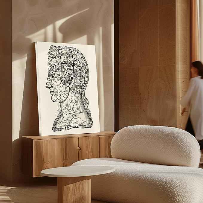 Poster Master A Symbolic Head Phrenology Print 1899 - Phrenology Canvas, Fine Art Print of a Scientific or Pseudoscience Academia Medical Illustration - 8x10 STRETCHED Canvas