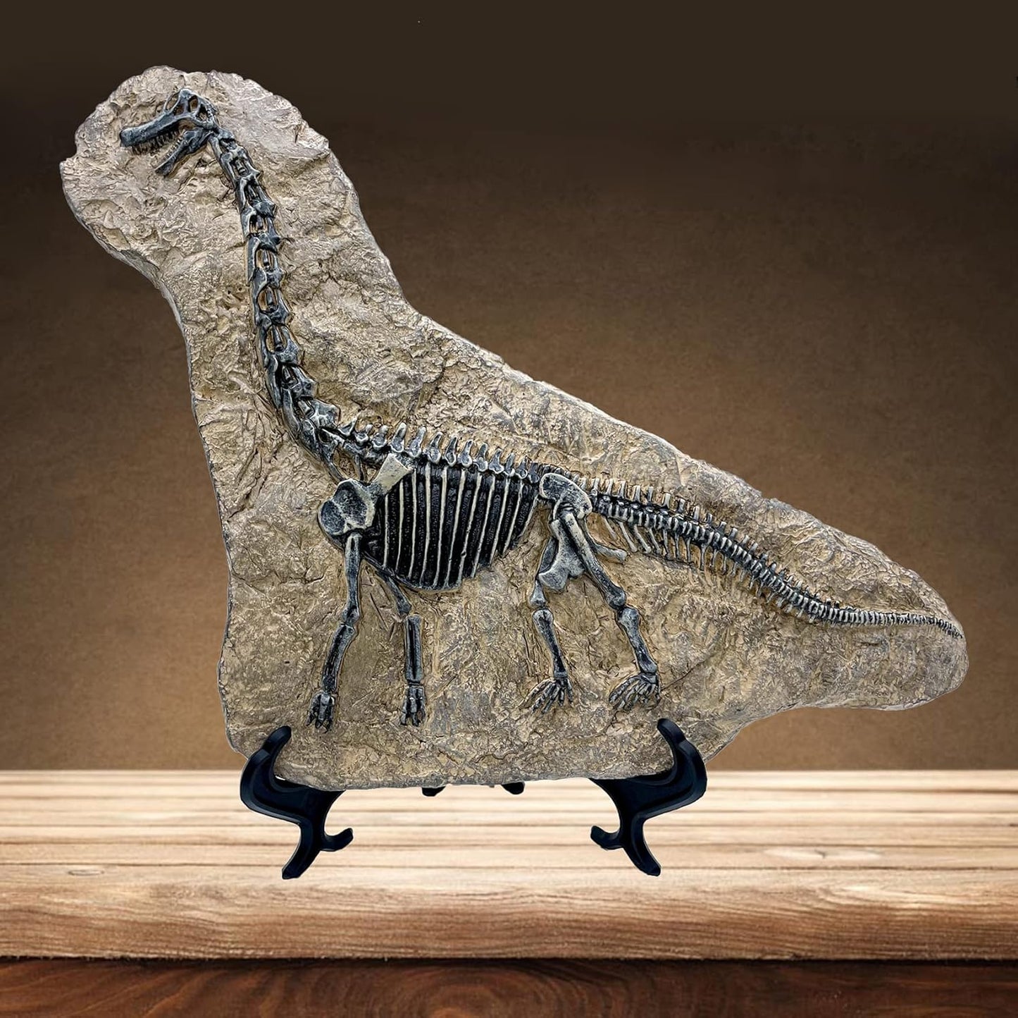 XINDAM Resin Brachiosaurus Dinosaur Fossil Statue Model Simulated Skeleton Home Office Display Decorative Craft Box Decoration (Style 7)