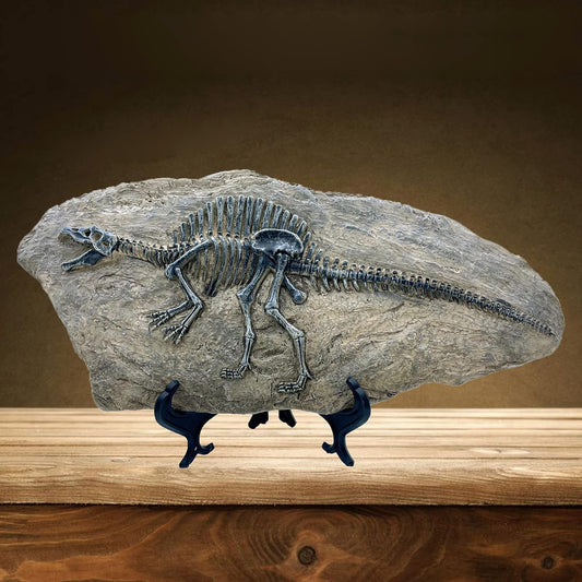 XINDAM Resin Spinosaurus Dinosaur Fossil Statue Model Simulated Skeleton Home Office Display Decorative Craft Box Decoration (Style 8)