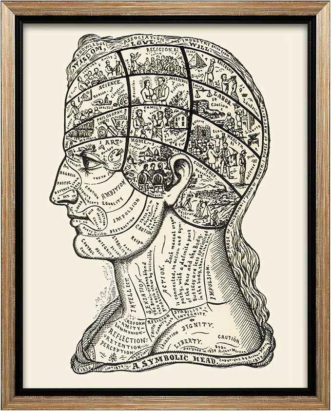Poster Master A Symbolic Head Phrenology Print 1899 - Phrenology Canvas, Fine Art Print of a Scientific or Pseudoscience Academia Medical Illustration - 12x16 Silver Framed Canvas