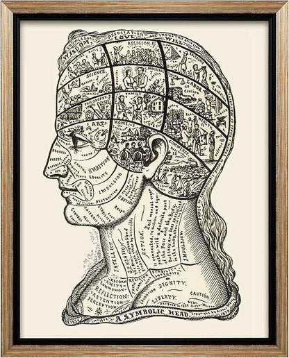 Poster Master A Symbolic Head Phrenology Print 1899 - Phrenology Canvas, Fine Art Print of a Scientific or Pseudoscience Academia Medical Illustration - 8x10 Silver Framed Canvas