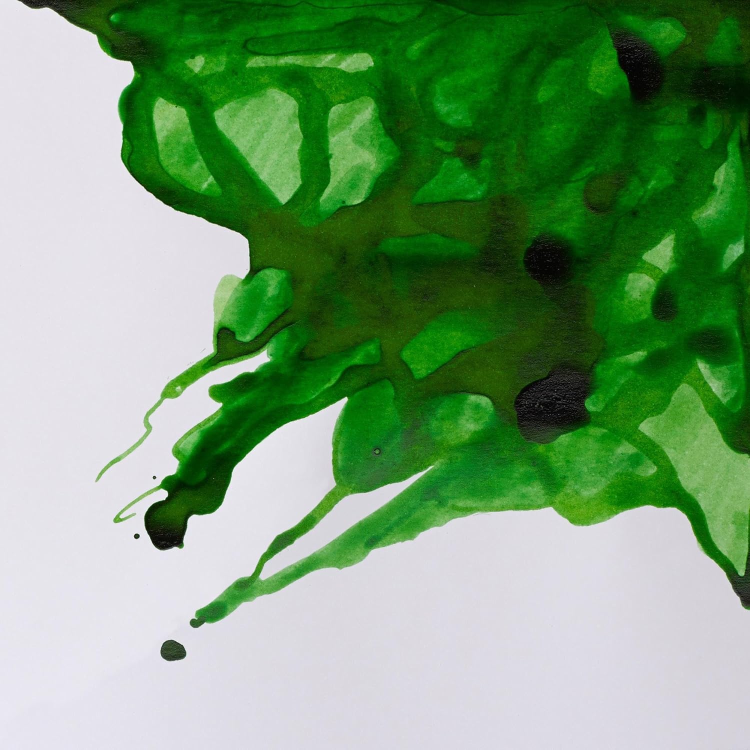 Winsor & Newton Drawing Ink, 14ml Bottle, Apple Green - Crafty Corner
