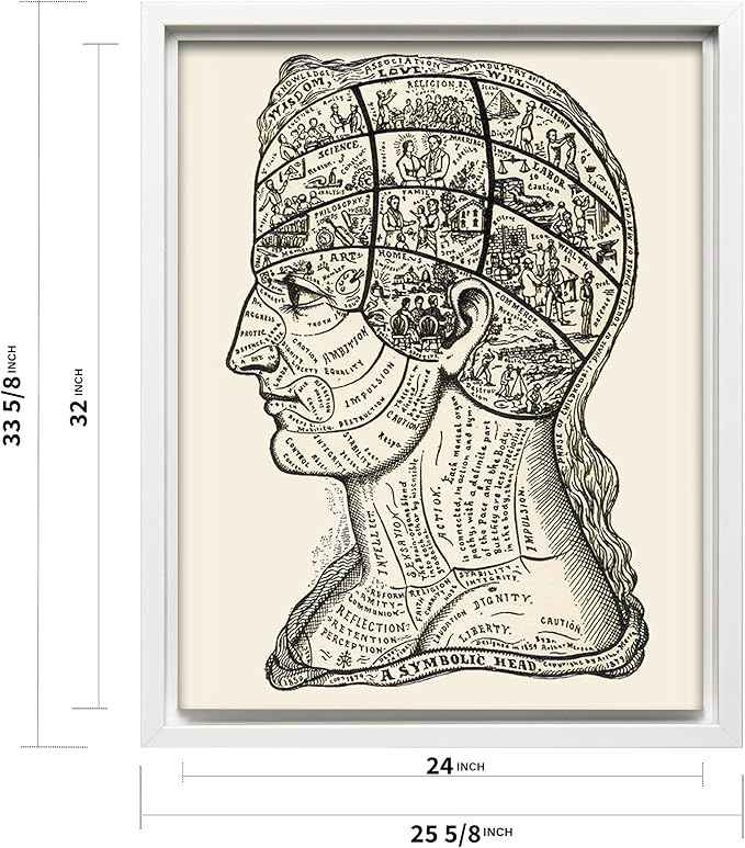Poster Master A Symbolic Head Phrenology Print 1899 - Phrenology Canvas, Fine Art Print of a Scientific or Pseudoscience Academia Medical Illustration - 24x32 White Framed Canvas