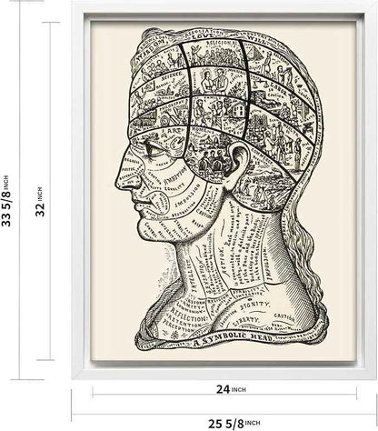 Poster Master A Symbolic Head Phrenology Print 1899 - Phrenology Canvas, Fine Art Print of a Scientific or Pseudoscience Academia Medical Illustration - 24x32 White Framed Canvas