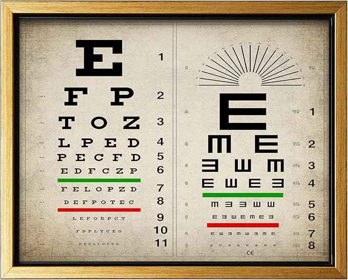 Poster Master Vintage Eye Chart Canvas - Retro Vision Test Print - Medical Art - Gift for Men, Women & Doctor - Optical Wall Decor for Office, Hospital or Clinic - 12x16 Gold Framed Canvas