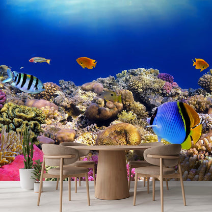 wall26 Removable Wall Sticker/Wall Mural Tropical Blue Fish Coral Reef Ocean Seascape Nature Wilderness Photography Nautical Landscape Decorative for Living Room, Bedroom, Office - 108x120 inches