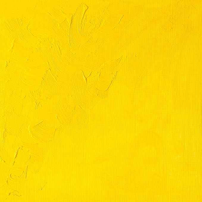 Winsor & Newton Winton Oil Color, 37ml (1.25-oz) Tube, Cadmium Yellow Light